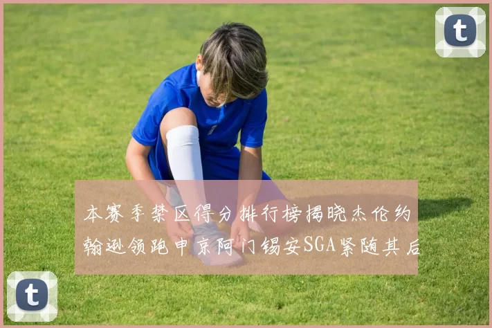 本赛季禁区得分排行榜揭晓杰伦约翰逊领跑申京阿门锡安SGA紧随其后